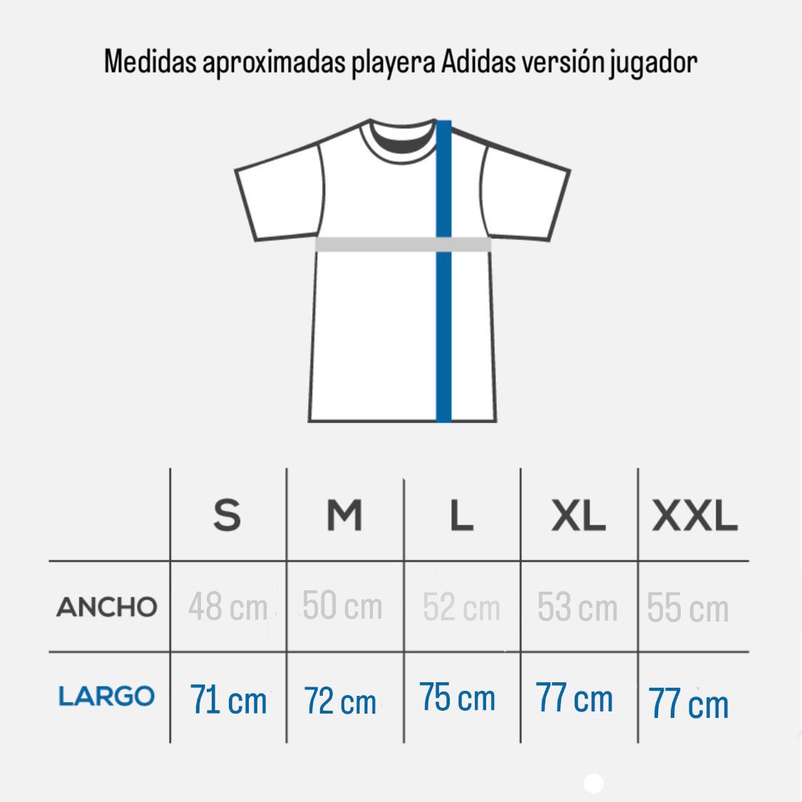 América Local versión jugador